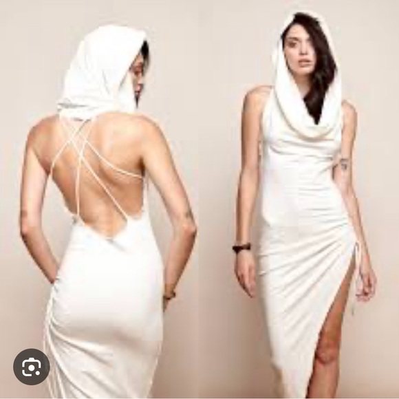 Rare and amazing! ZhenNymph best seller Star Anise dress in wine - Picture 1 of 11